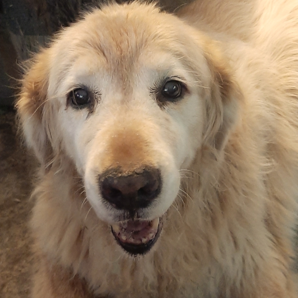 Meet your Posher, Liz